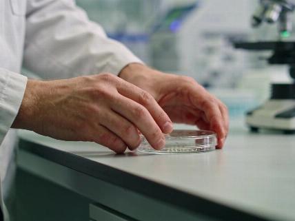 Bacterial Signals Offer a New Route to Prevent Periodontal Disease The Young Dentist
